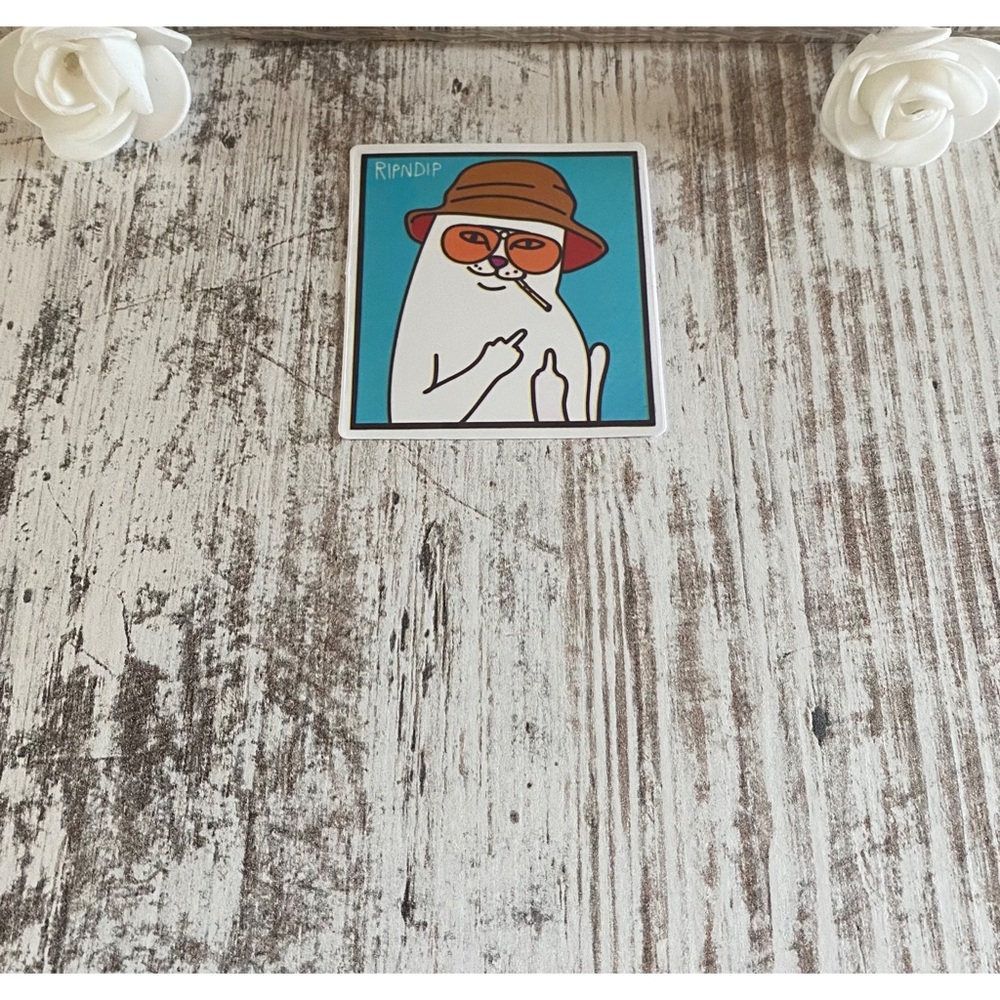 Brand new Ripndip sticker